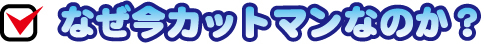 なぜ今カットマンなのか？